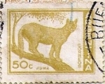 Sellos de America - Argentina -  Puma