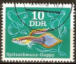 Stamps : Europe : Germany :  Peces ornamentales-Guppy cola afilada(DDR).