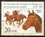 Stamps Germany -  40a Congreso Internacional para la cría de caballos de los estados socialistas(DDR).