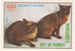 Sellos de Africa - Guinea Ecuatorial -  GATOS SIAMESES