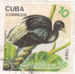 Sellos de America - Cuba -  BRASILIANA-89