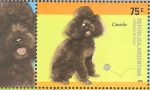 Stamps Argentina -  RAZAS  CANINAS.  CANICHE.