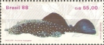 Stamps Brazil -  PECES.  CASCUDO,  ANCITRUS  HOPLOGENYS.