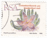 Stamps South Africa -  STAPELIA GRANDIFLORA