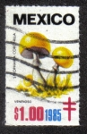 Stamps Mexico -  Hongos