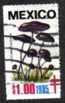 Stamps Mexico -  Hongos