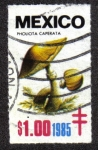 Stamps Mexico -  Hongos