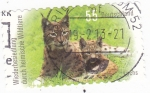 Stamps Germany -  Felinos