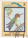 Sellos de America - Cuba -  Mellisuga helenae -AVES CUBANAS