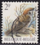 Stamps Belgium -  Intercambio