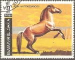 Sellos del Mundo : Europe : Bulgaria : CABALLO  DE  PRZEWALSKI