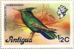 Sellos de America - Antigua y Barbuda -  Colibrí de cresta antillano