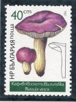 Stamps Bulgaria -  varios