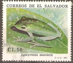 Sellos del Mundo : America : El_Salvador : ANFIBIOS.  AGALYCHNIS  MORELETII.