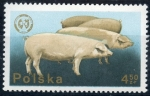 Stamps Poland -  varios