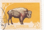 Sellos de America - Cuba -  Bisonte