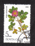 Stamps Russia -  Plantas medicinales Protegidas en Siberia 2