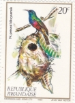Sellos de Africa - Rwanda -  Aves