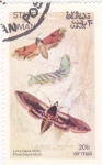 Stamps Oman -  Metamorfosis