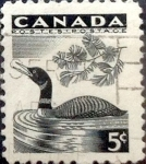 Sellos del Mundo : America : Canad� : Intercambio jlm 0,20 usd 5 cent 1957