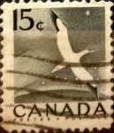 Sellos de America - Canad -  Intercambio 0,20 usd 15 cent 1954