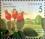 Stamps Canada -  Intercambio mxb 0,20 usd 5 cent 1992