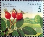 Stamps Canada -  Intercambio 0,20 usd 5 cent 1992