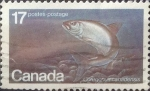 Stamps Canada -  Intercambio cr3f 0,20 usd 17 cent 1980