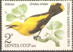 Stamps Russia -  AVES.  ORIOLUS  ORIOLUS.