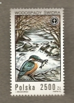 Stamps Poland -  Peces y pájaros