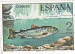 Stamps Spain -  Trucha (18)