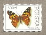 Sellos de Europa - Polonia -  Mariposas