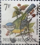 Stamps Belgium -  Intercambio 0,20 usd 7 francos 1987