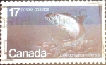 Stamps Canada -  Intercambio 0,20 usd 17 cents. 1980