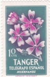 Stamps Spain -  flores- TANGER (20)