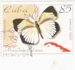 Sellos de America - Cuba -  mariposa