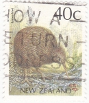 Stamps New Zealand -  ave- kiwi