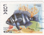 Stamps Cuba -  pez tropical