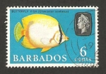 Sellos de America - Barbados -   248 - Elizabeth II, pez mariposa