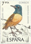 Stamps Spain -  PÁJAROS. ROQUERO ROJO. Monticola saxitilis. EDIFIL 2821