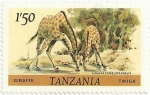 Sellos de Africa - Tanzania -  ANIMALES. GIRAFA. Giraffa camelopardalis. YVERT TZ 170