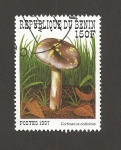 Sellos de Africa - Benin -  Cortinarius collinitus