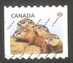 Sellos de America - Canad -  2803 - Marmotas