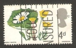 Stamps United Kingdom -  467 - una margarita de campo