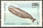 Sellos de America - Cuba -  CETÀCEOS.  PHYSETER  CATODON.