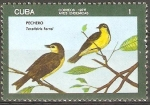 Stamps Cuba -  AVES  INDÌGENAS.  TERETISTRIS  FORNSI.