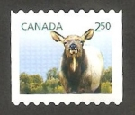 Sellos de America - Canad -  Animal