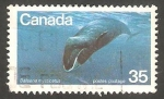 Sellos de America - Canad� -   Ballena mysticetus