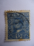 Stamps Poland -  Escritor: Henryk Sienkiewicz (1846-1916)