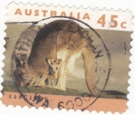 Stamps Australia -  canguro